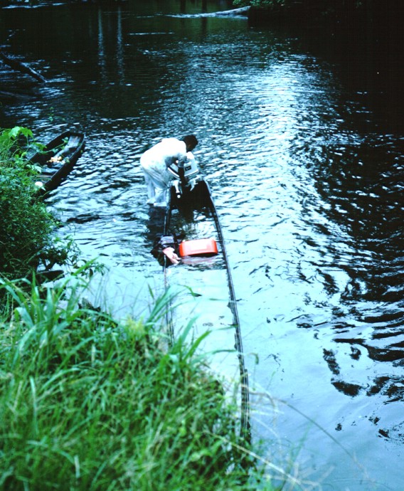 sinking
